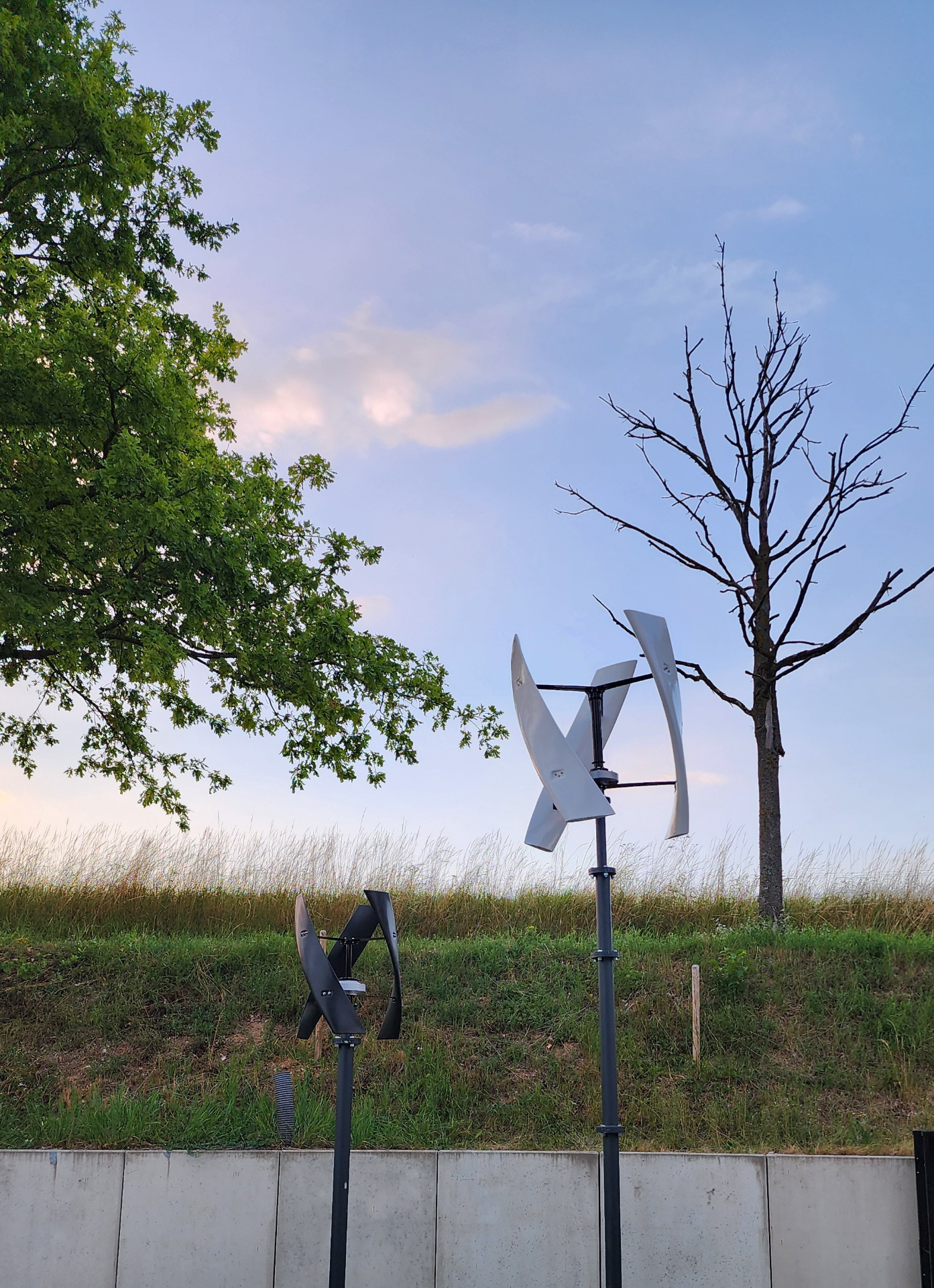 Windrose Bild 03 – Neckarsulm – Windrosen an der Betonwand